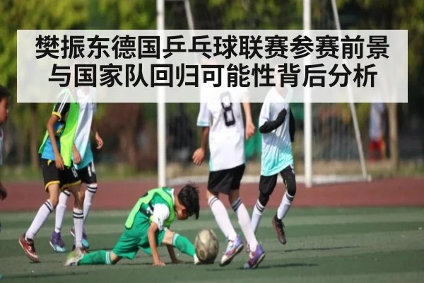 樊振东德国乒乓球联赛参赛前景与国家队回归可能性背后分析 | kaiyun